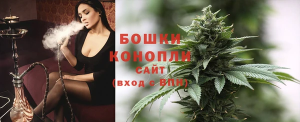 ешки Новозыбков