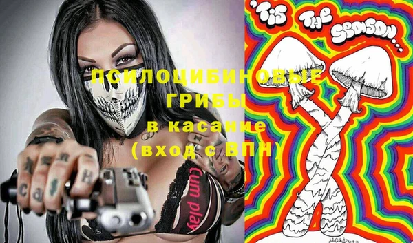 ешки Новозыбков