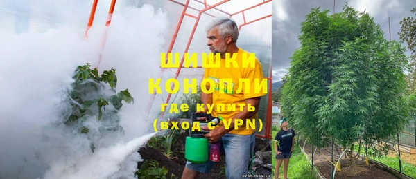 ешки Новозыбков