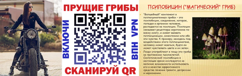 где купить   Инсар  Псилоцибиновые грибы Cubensis 