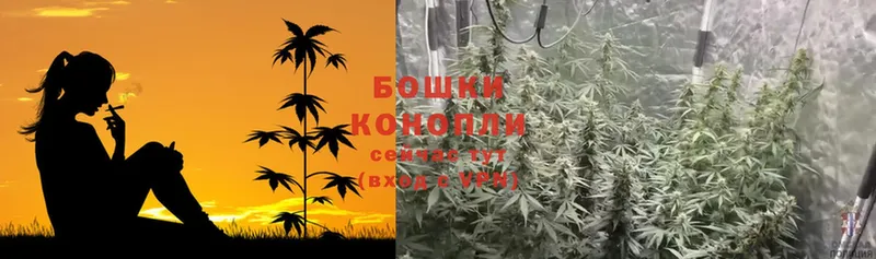 МАРИХУАНА THC 21%  Инсар 