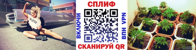 Бошки Шишки THC 21%  купить наркоту  Инсар 